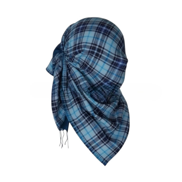 Blue Black Check Muffler